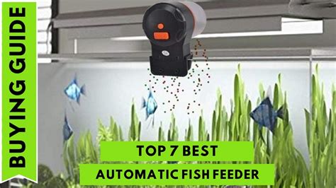 automatic fish feeder|Best Automatic Fish Feeders in 2025 .